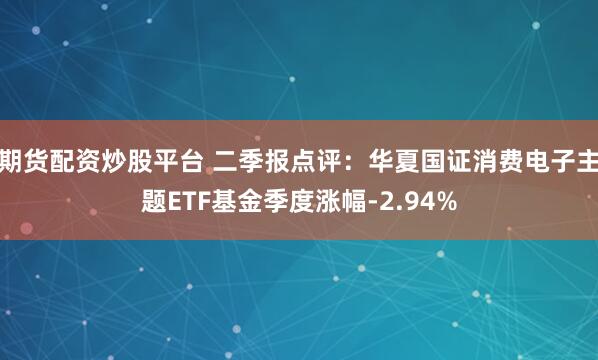 期货配资炒股平台 二季报点评:华夏国证消费电子主题ETF基金季度涨幅-2.94%
