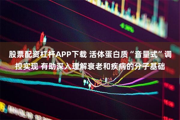 股票配资杠杆APP下载 活体蛋白质“音量式”调控实现 有助深入理解衰老和疾病的分子基础